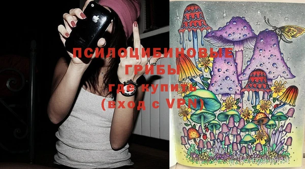 МДПВ Белокуриха