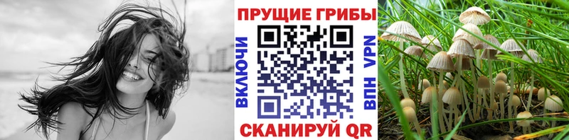 Галлюциногенные грибы ЛСД Купить где Венёв